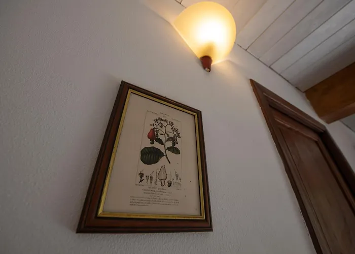 269 - La Stalla Country House, Nel Di Casarza - 15 Minuti D'auto Dal Mare Σπίτι διακοπών Casarza Ligure