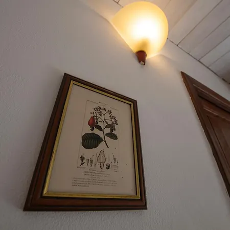 269 - La Stalla Country House, Nel Di Casarza - 15 Minuti D'auto Dal Mare Prázdninový dům Casarza Ligure